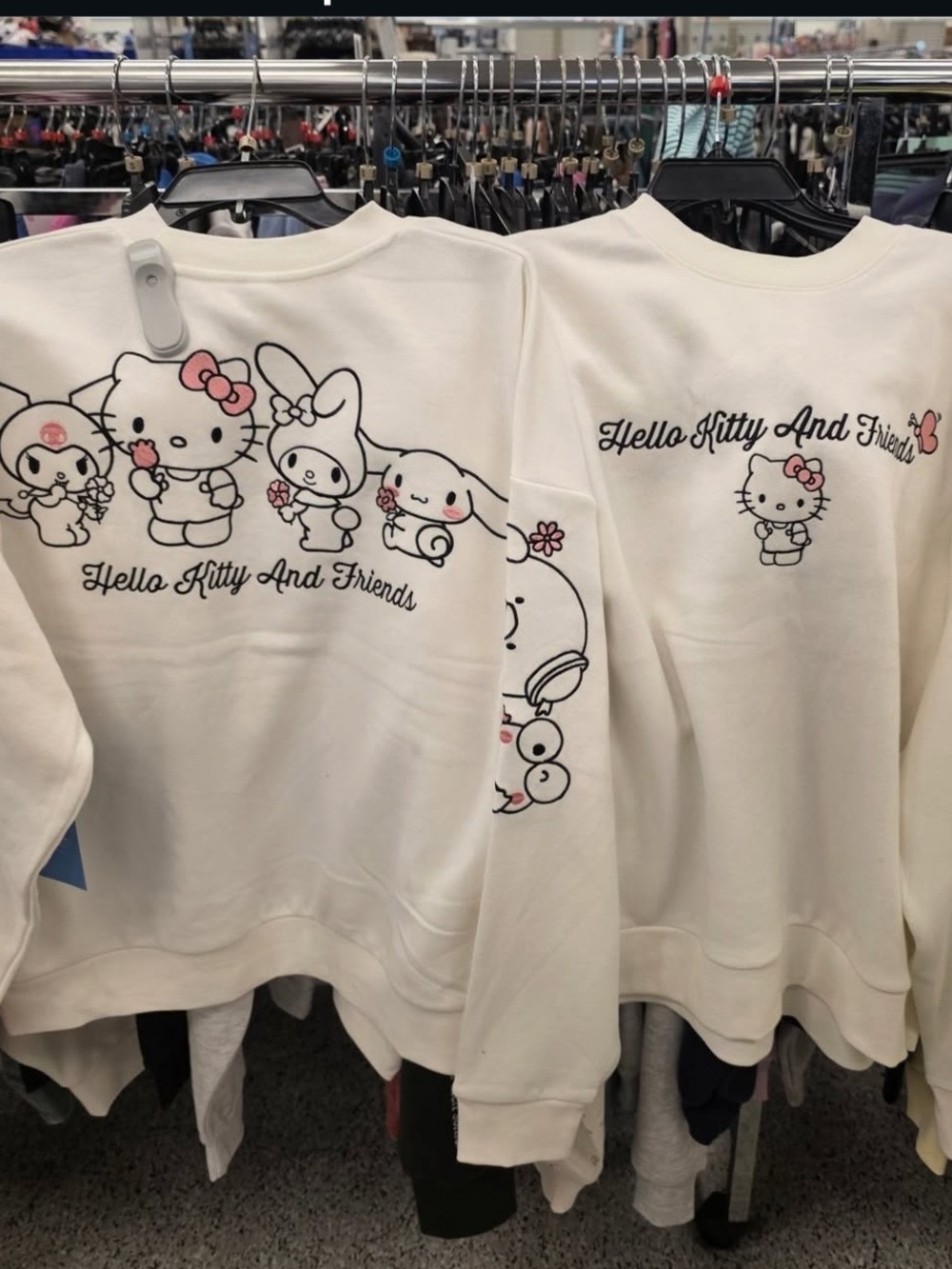 Hello Kitty & Friends Embroidered Sweatshirt